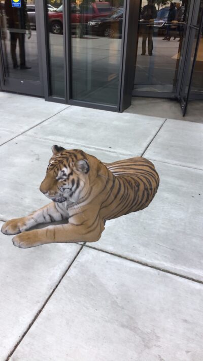 Augmented_Reality_Tiger